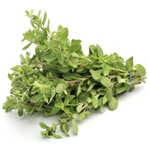 Marjoram