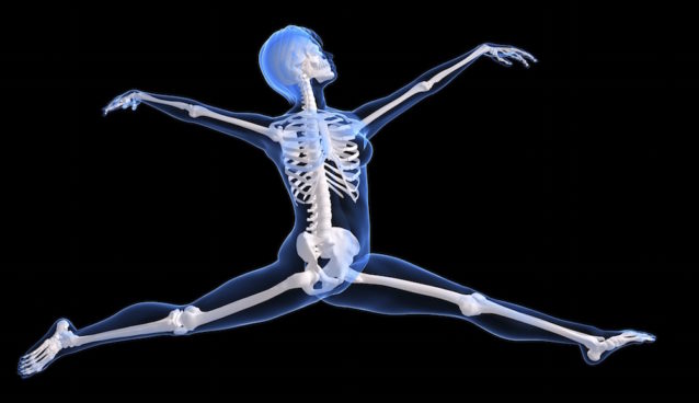 Image result for bone health