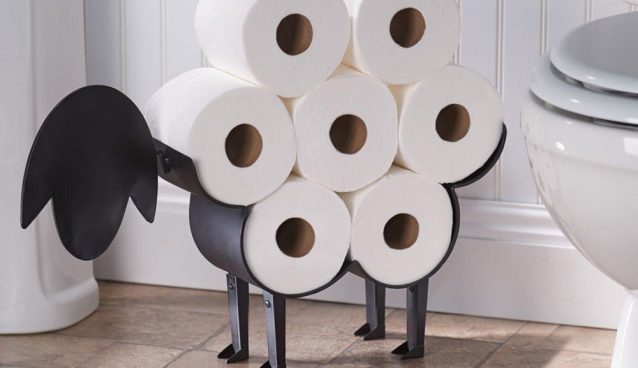 toilet paper