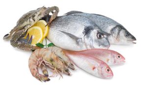 Seafood - 9 Foods That Prevent Healing