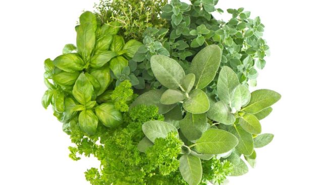 Herbs - how to use herbs