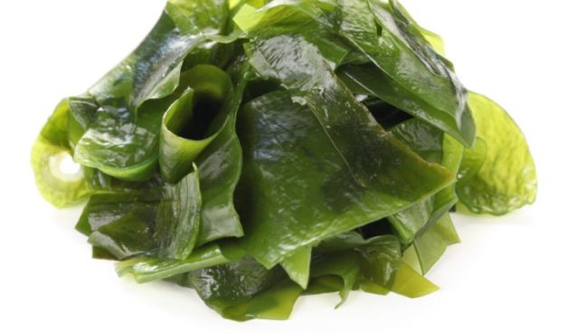 Wakame seaweed