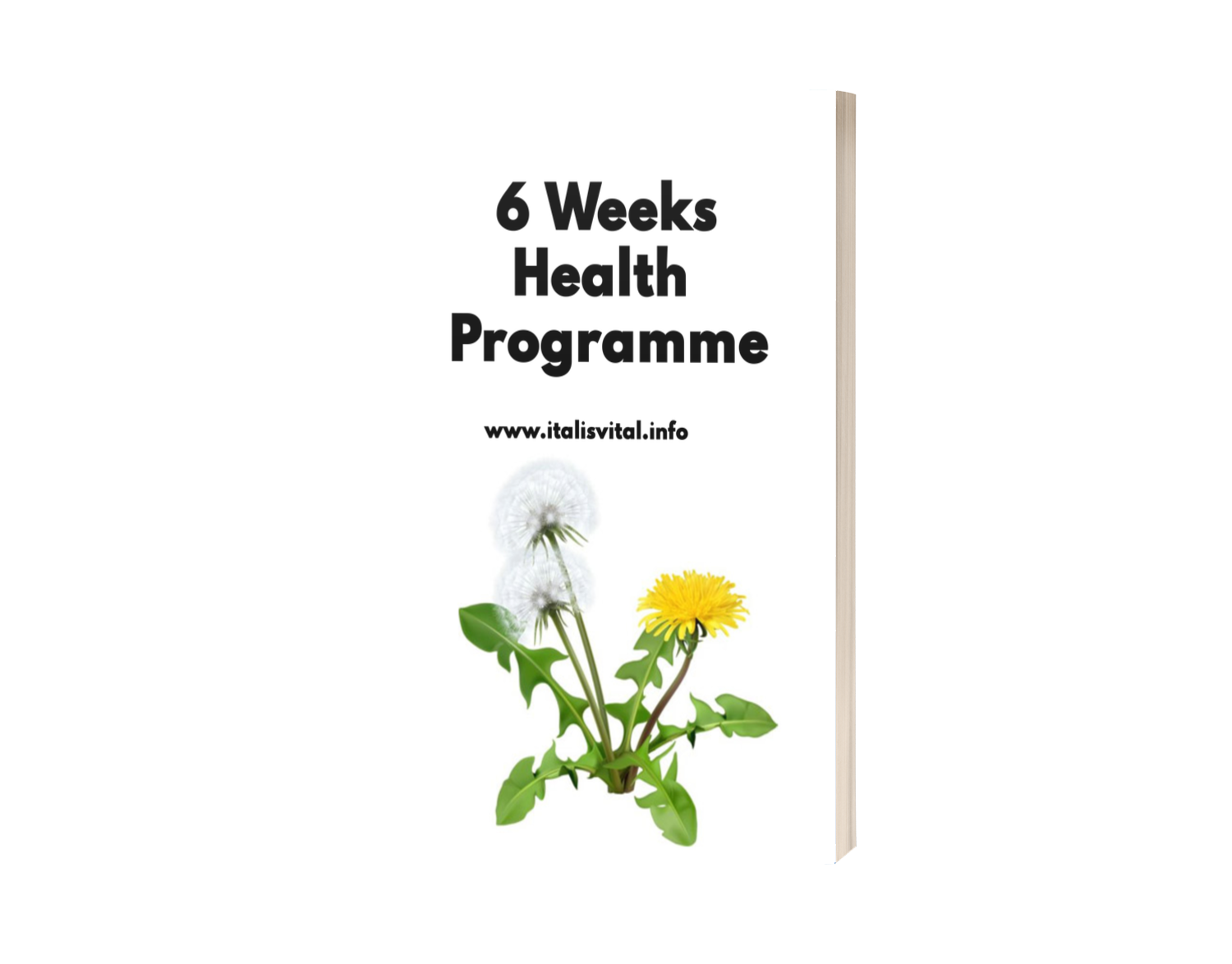 6 Weeks Health Programme