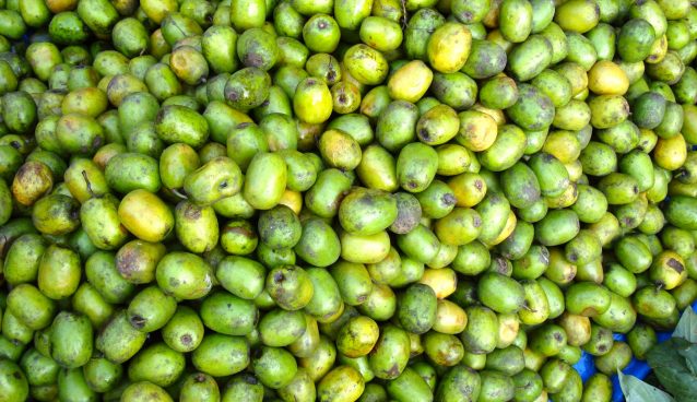 Hog plum