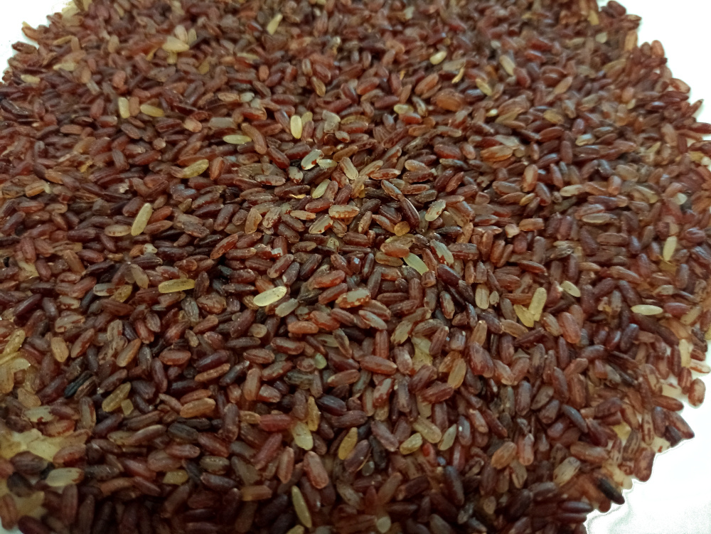 African Wild Rice