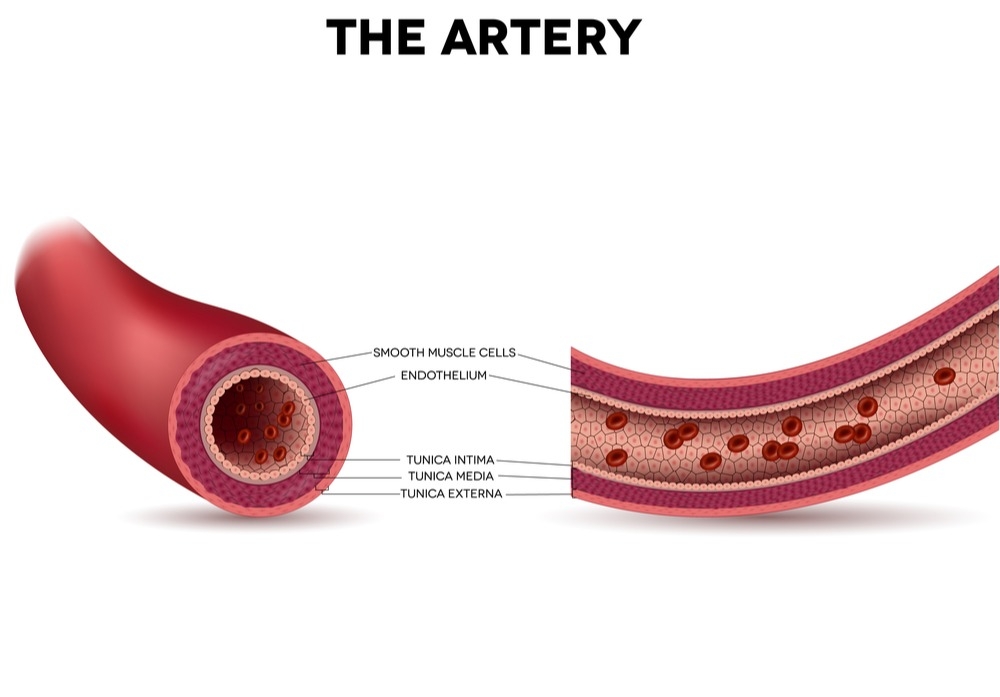 The BEST Foods to Clean Out Your Arteries