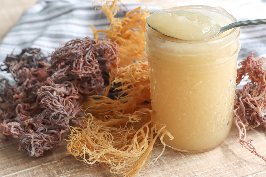 Sea moss