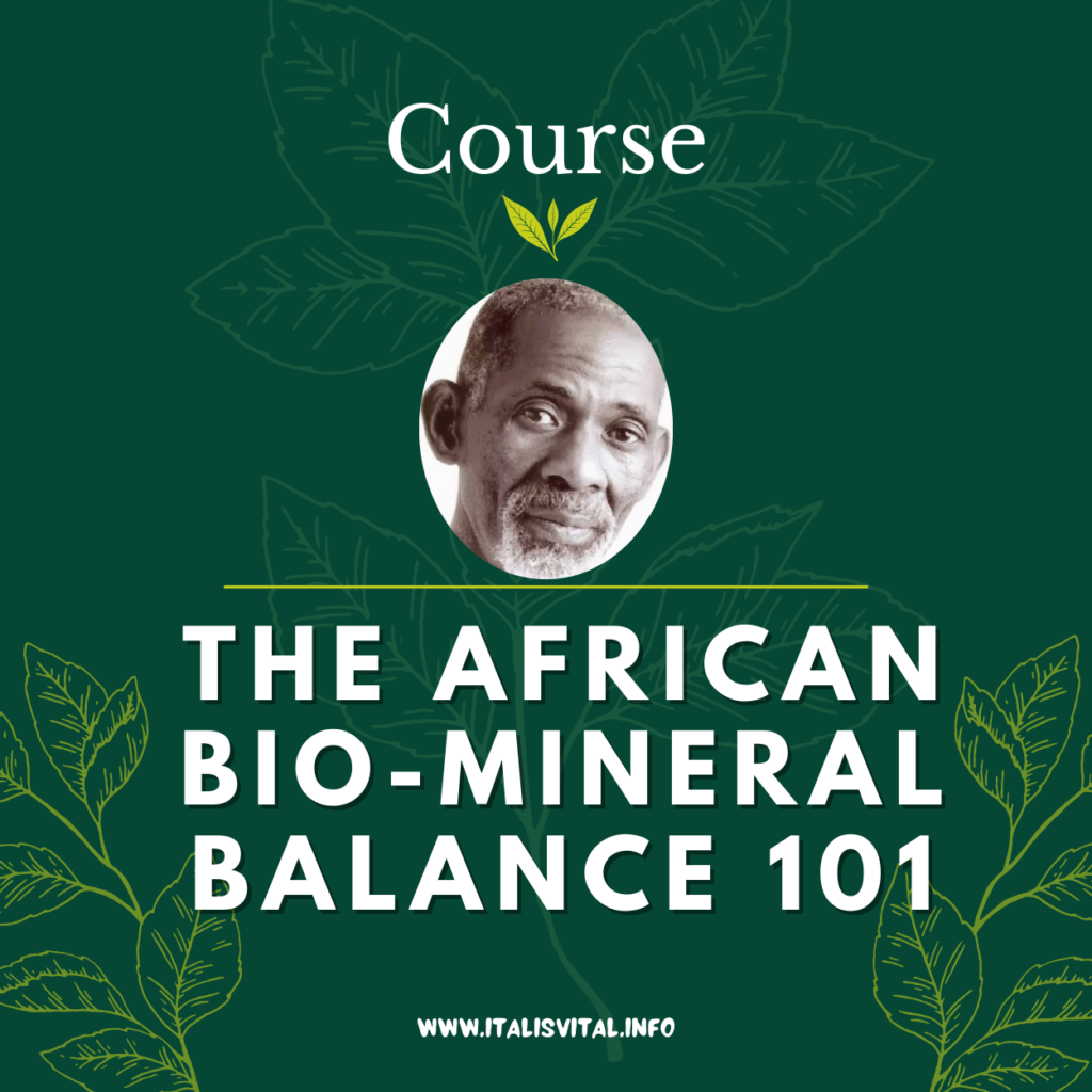 The African Biomineral Balance 101