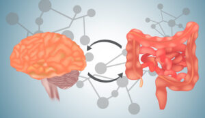 Brain Gut Connection