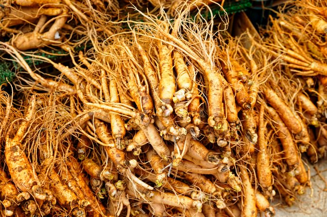 Mondia whitei roots