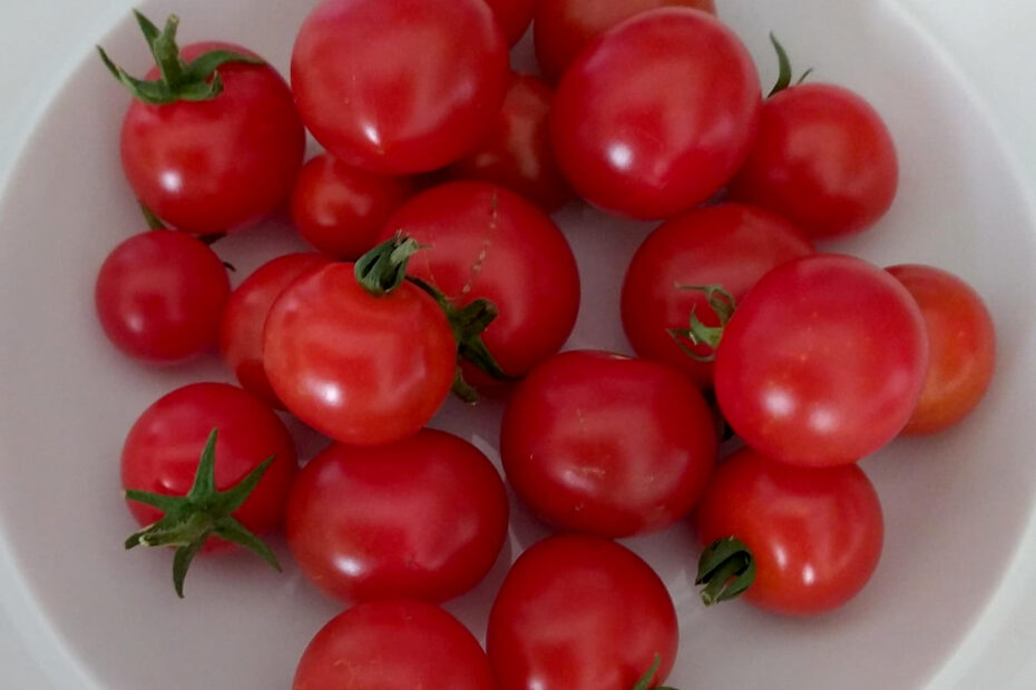 Tomatoes by A. Johannesson