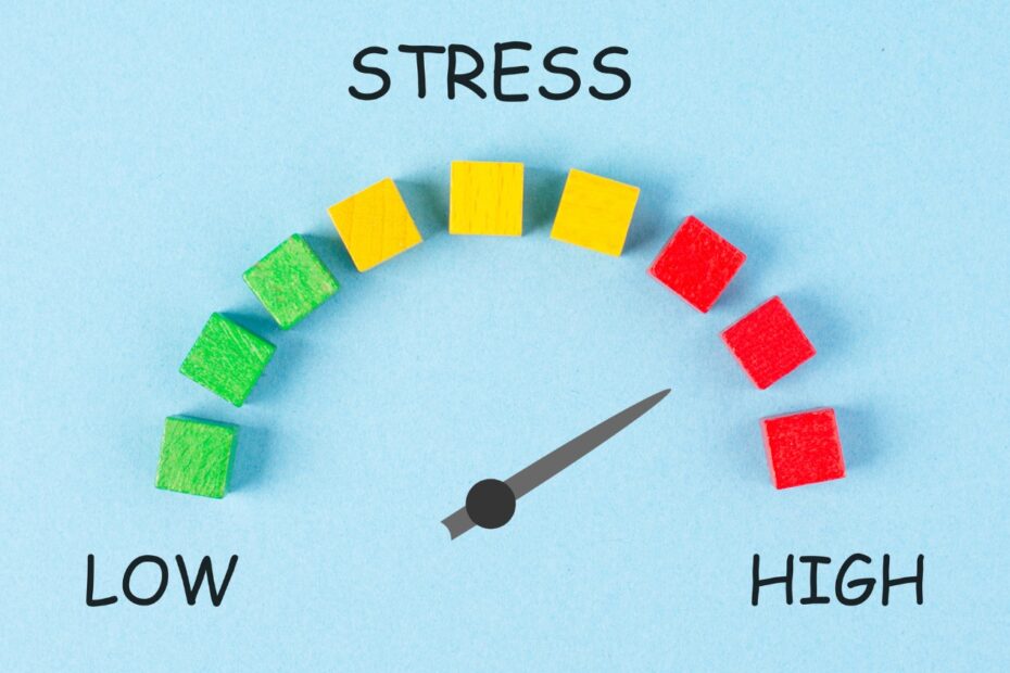 What Is Stress