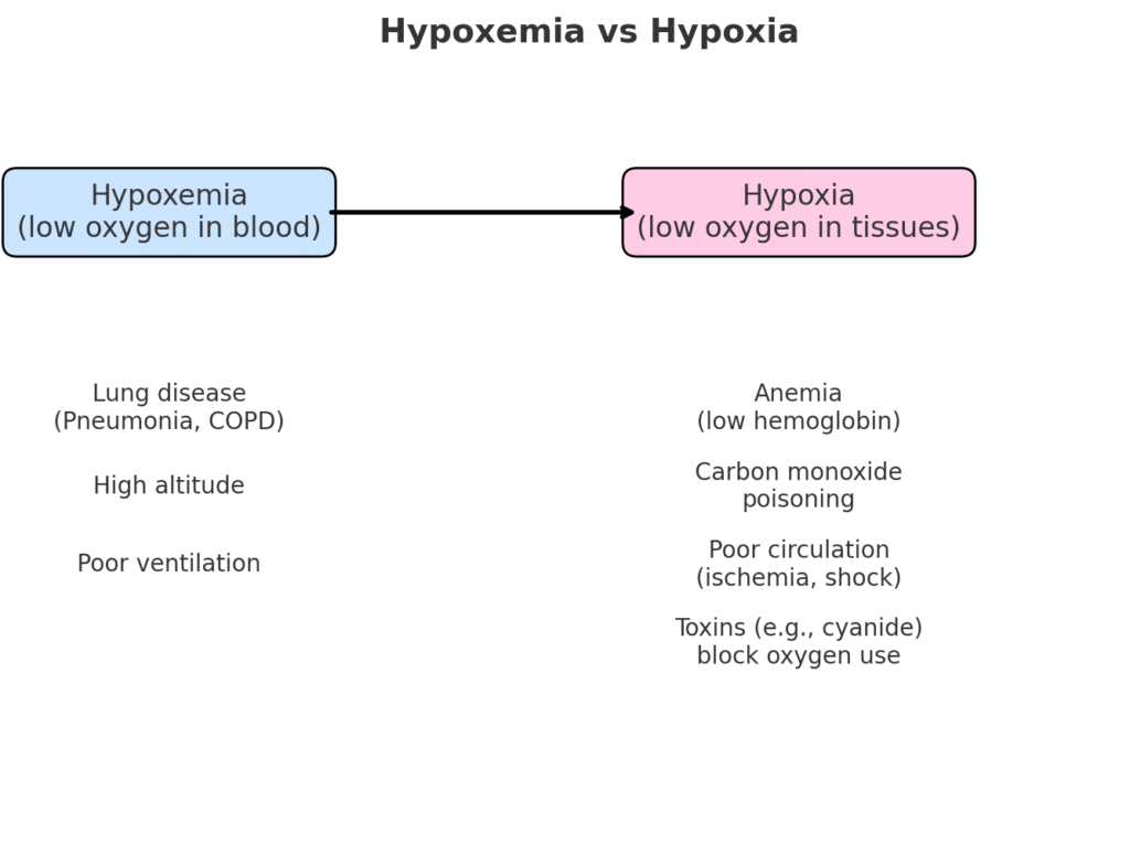 Hypoxia vs. Hypoxemia